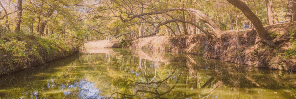 Your Launch Point: A Guide to Lake Leon Boat Ramps & Access